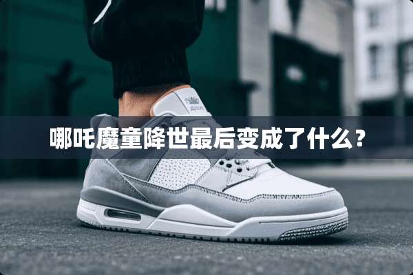 哪吒魔童降世最后变成了什么？