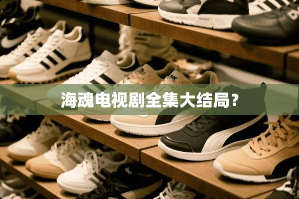 海魂电视剧全集大结局？