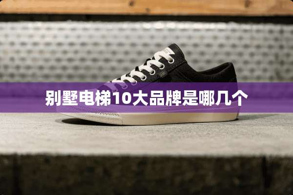 别墅电梯10大品牌是哪几个
