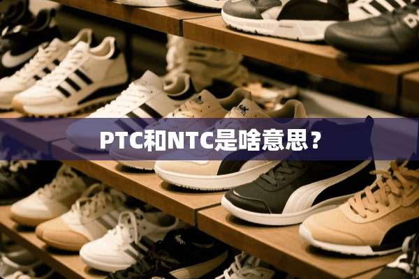 PTC和NTC是啥意思？