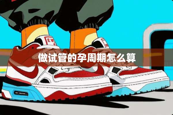 做试管的孕周期怎么算