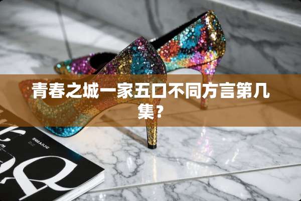 青春之城一家五口不同方言第几集？