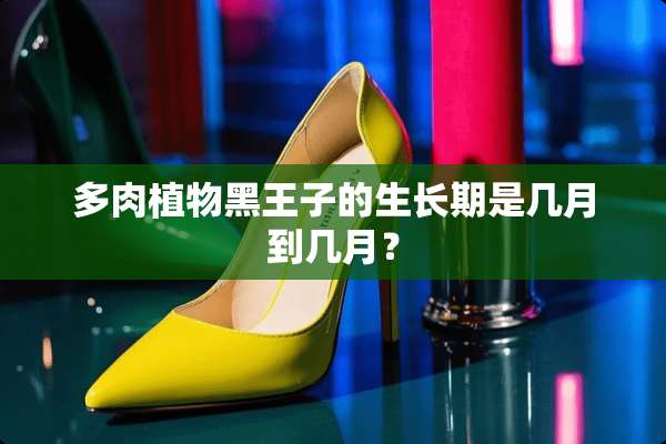多肉植物黑王子的生长期是几月到几月？