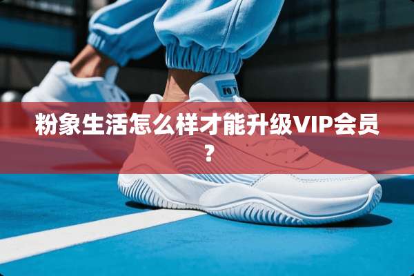 粉象生活怎么样才能升级VIP会员？