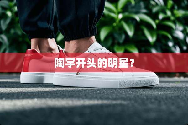 陶字开头的明星？