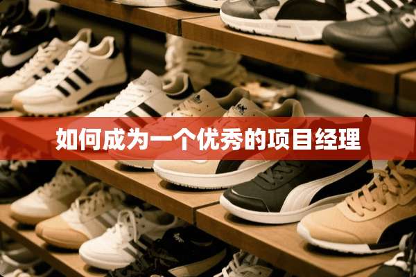 如何成为一个优秀的项目经理