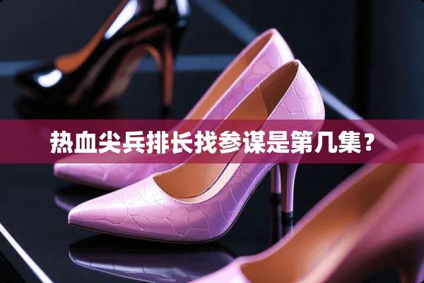 热血尖兵排长找参谋是第几集？