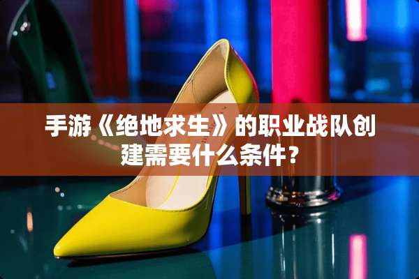 手游《绝地求生》的职业战队创建需要什么条件？