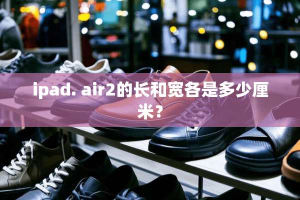ipad. air2的长和宽各是多少厘米？