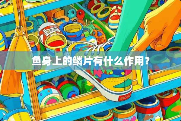 鱼身上的鳞片有什么作用？