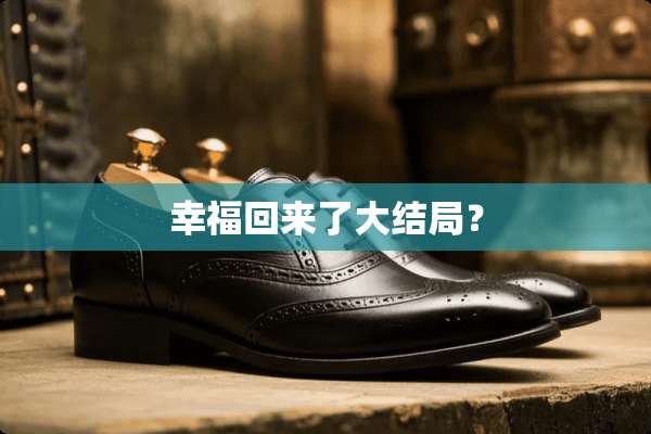 幸福回来了大结局？