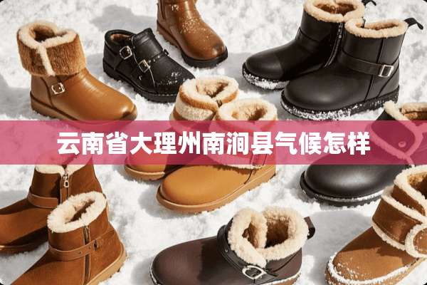 云南省大理州南涧县气候怎样