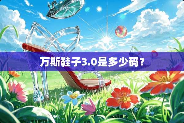 万斯鞋子3.0是多少码？
