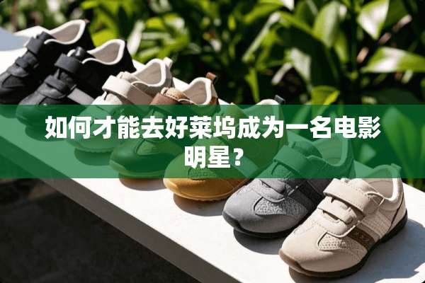 如何才能去好莱坞成为一名电影明星？