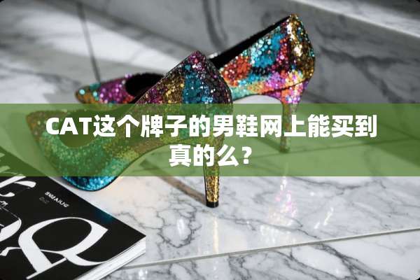 CAT这个牌子的男鞋网上能买到真的么？