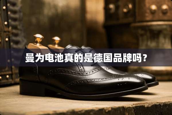 曼为电池真的是德国品牌吗？