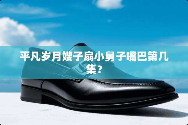 平凡岁月嫂子扇小舅子嘴巴第几集？