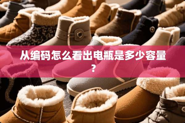 从编码怎么看出电瓶是多少容量？