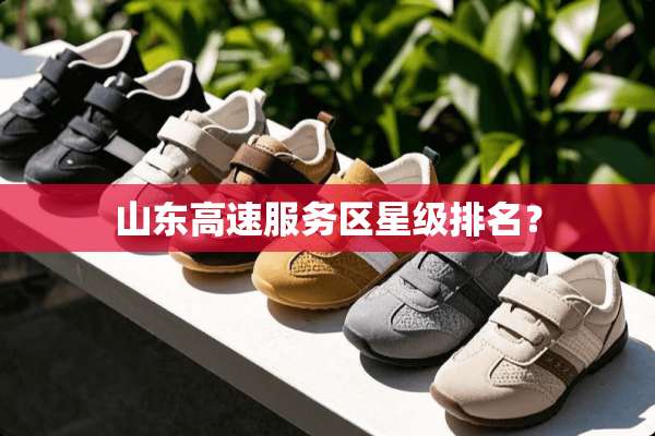 山东高速服务区星级排名？