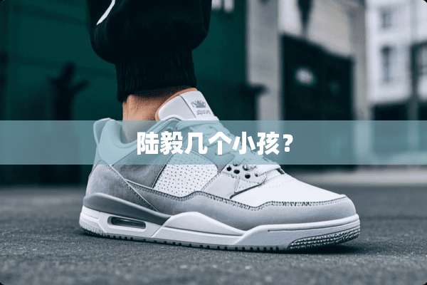 陆毅几个小孩？