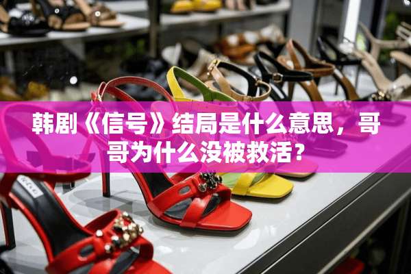 韩剧《信号》结局是什么意思，哥哥为什么没被救活？