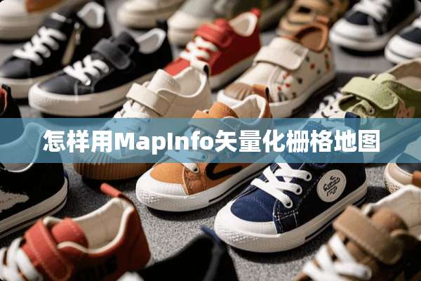 怎样用MapInfo矢量化栅格地图