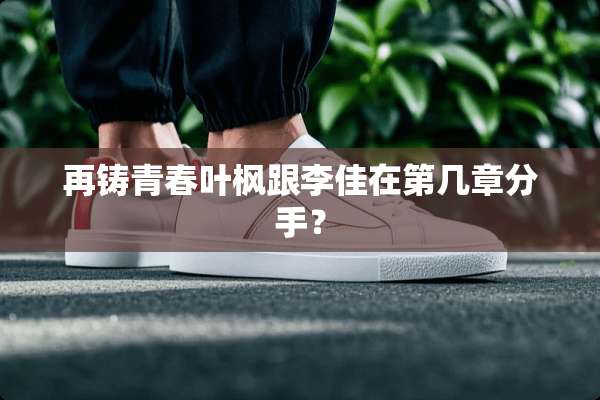 再铸青春叶枫跟李佳在第几章分手？