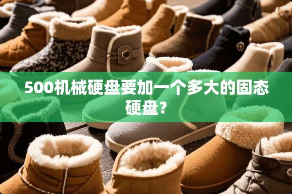 500机械硬盘要加一个多大的固态硬盘？