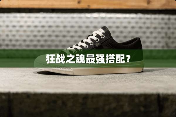 狂战之魂最强搭配？