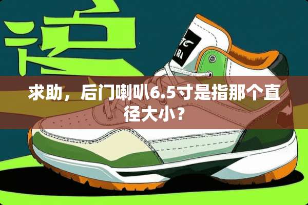 求助，后门喇叭6.5寸是指那个直径大小？