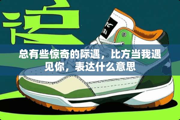 总有些惊奇的际遇，比方当我遇见你，表达什么意思