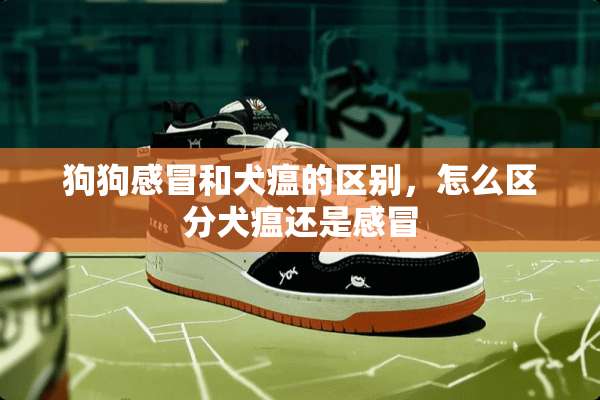 狗狗感冒和犬瘟的区别，怎么区分犬瘟还是感冒