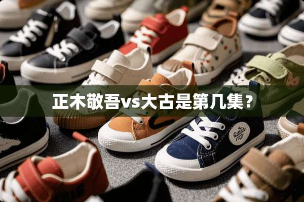 正木敬吾vs大古是第几集？