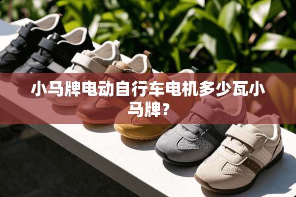 小马牌电动自行车电机多少瓦小马牌？