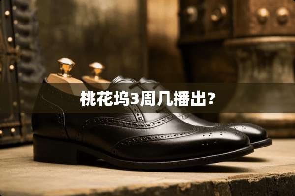 桃花坞3周几播出？