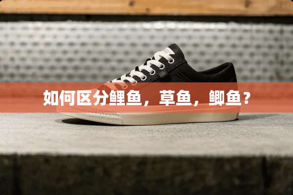 如何区分鲤鱼，草鱼，鲫鱼？