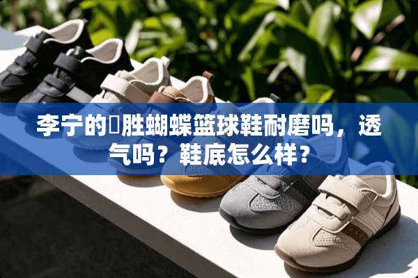 李宁的杺胜蝴蝶篮球鞋耐磨吗，透气吗？鞋底怎么样？
