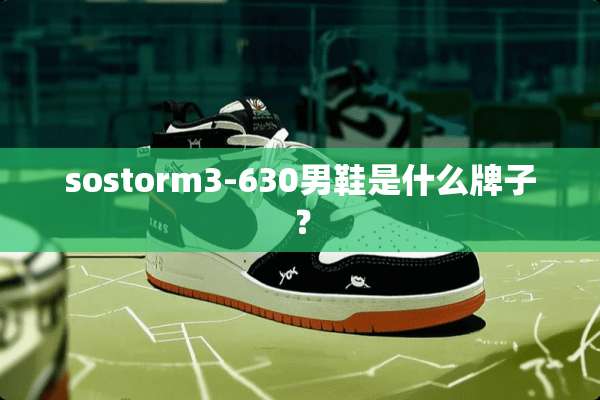 sostorm3-630男鞋是什么牌子？