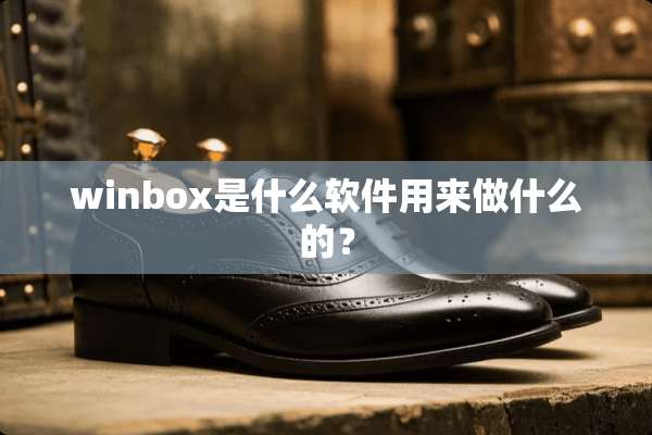 winbox是什么软件用来做什么的？