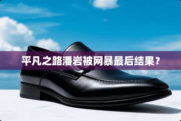平凡之路潘岩被网暴最后结果？