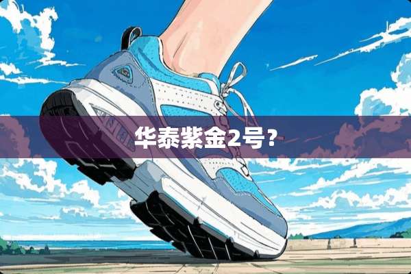 华泰紫金2号？