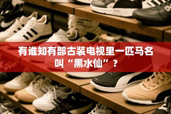 有谁知有部古装电视里一匹马名叫“黑水仙”？