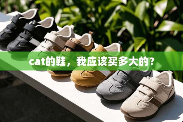 cat的鞋，我应该买多大的？