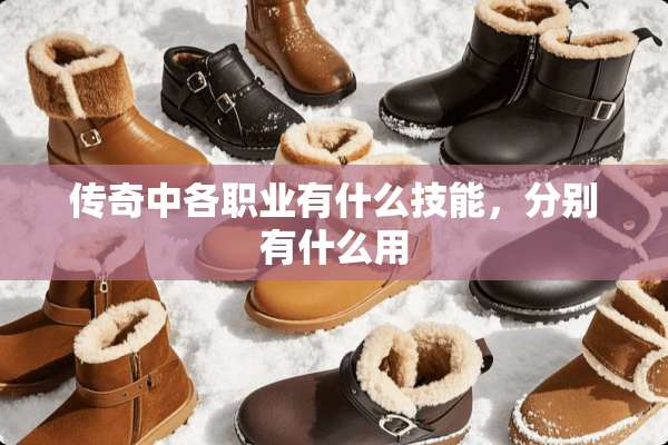 传奇中各职业有什么技能，分别有什么用