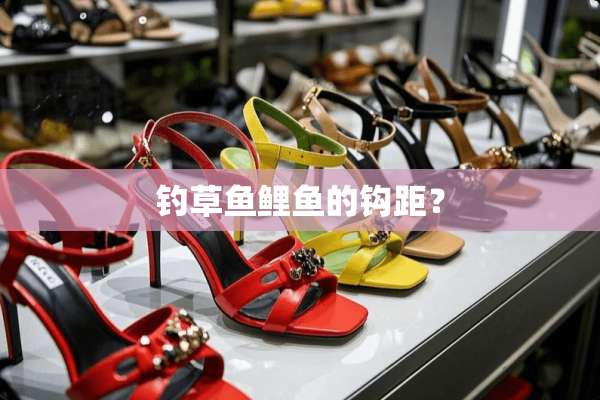 钓草鱼鲤鱼的钩距？