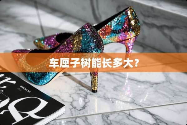 车厘子树能长多大？