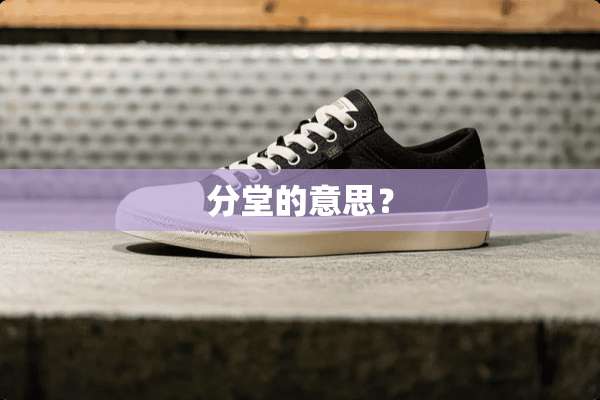 分堂的意思？