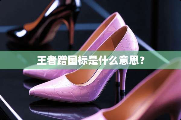 王者蹭国标是什么意思？
