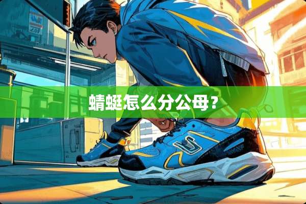 蜻蜓怎么分公母？