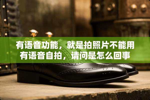 有语音功能，就是拍照片不能用有语音**，请问是怎么回事